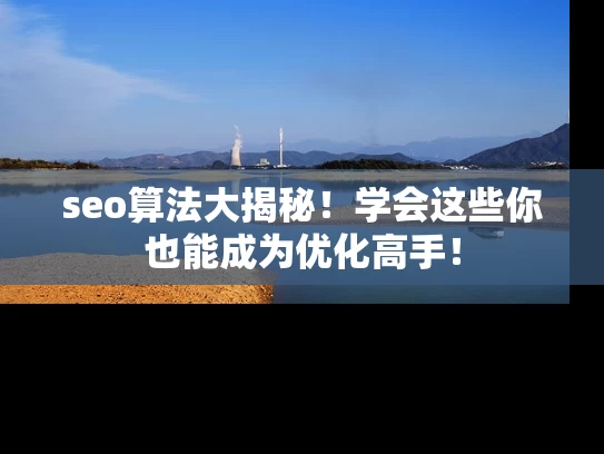 seo算法大揭秘！学会这些你也能成为优化高手！