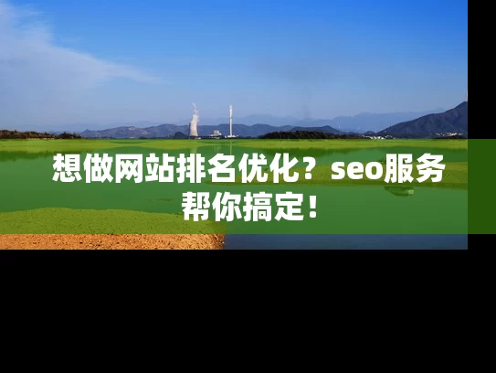 想做网站排名优化？seo服务帮你搞定！