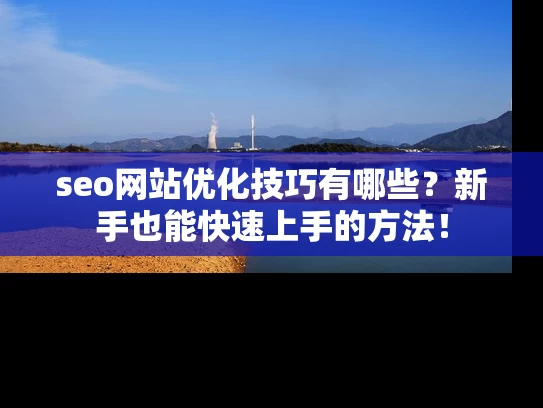 seo网站优化技巧有哪些？新手也能快速上手的方法！