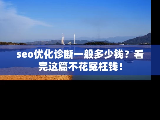 seo优化诊断一般多少钱？看完这篇不花冤枉钱！