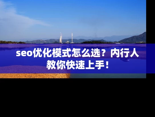 seo优化模式怎么选？内行人教你快速上手！
