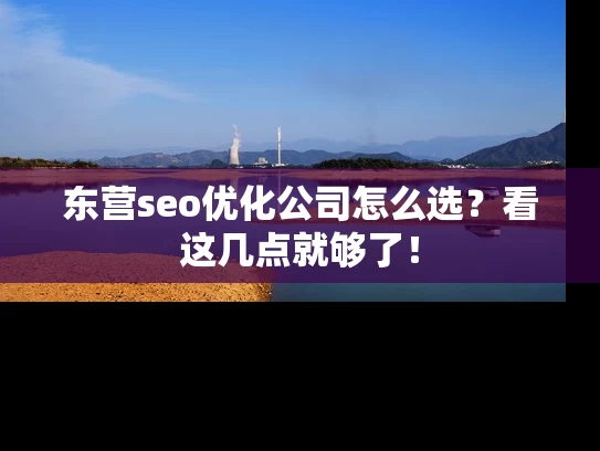 东营seo优化公司怎么选？看这几点就够了！