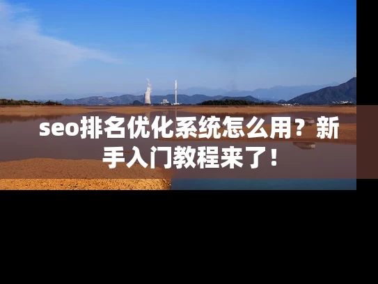 seo排名优化系统怎么用？新手入门教程来了！