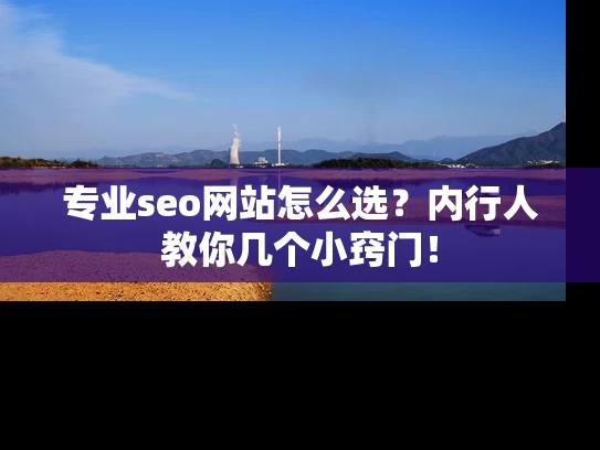 专业seo网站怎么选？内行人教你几个小窍门！