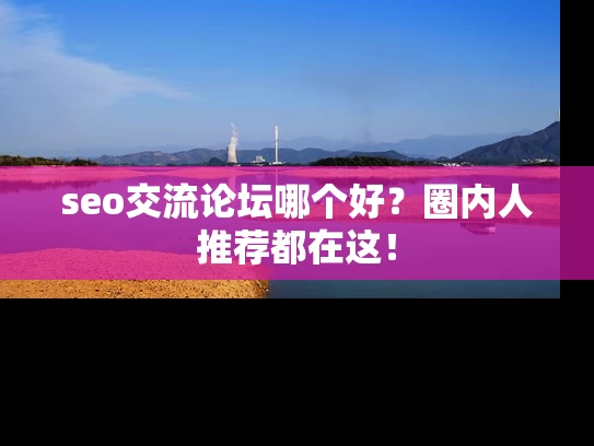 seo交流论坛哪个好？圈内人推荐都在这！