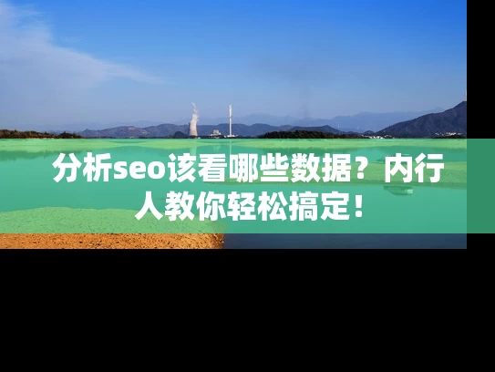 分析seo该看哪些数据？内行人教你轻松搞定！