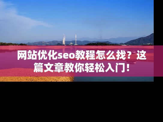 网站优化seo教程怎么找？这篇文章教你轻松入门！