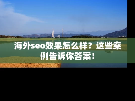 海外seo效果怎么样？这些案例告诉你答案！