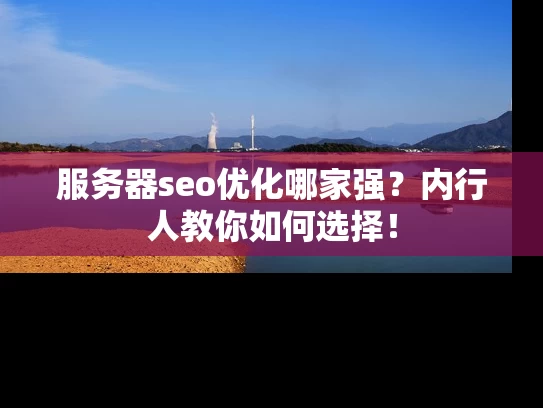服务器seo优化哪家强？内行人教你如何选择！