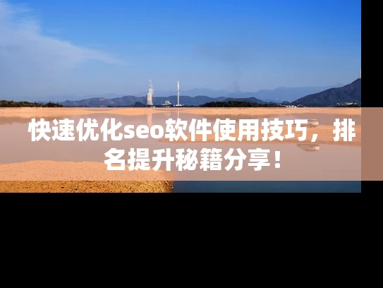 快速优化seo软件使用技巧，排名提升秘籍分享！