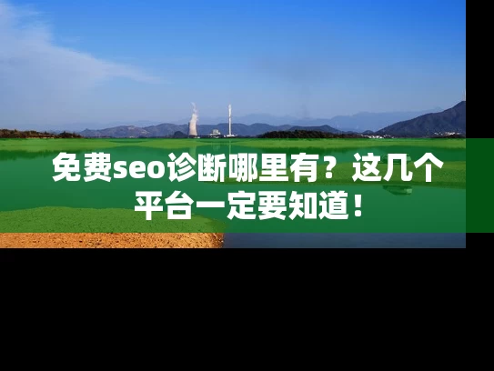免费seo诊断哪里有？这几个平台一定要知道！