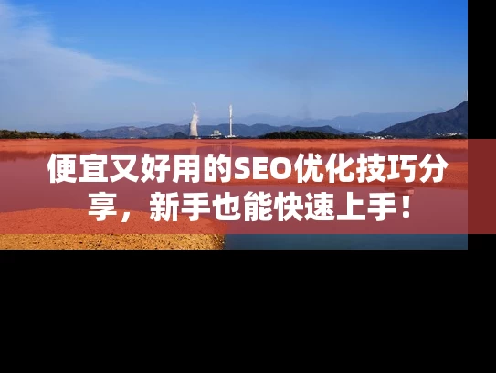 便宜又好用的SEO优化技巧分享，新手也能快速上手！