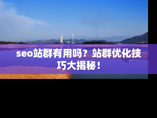 seo站群有用吗？站群优化技巧大揭秘！