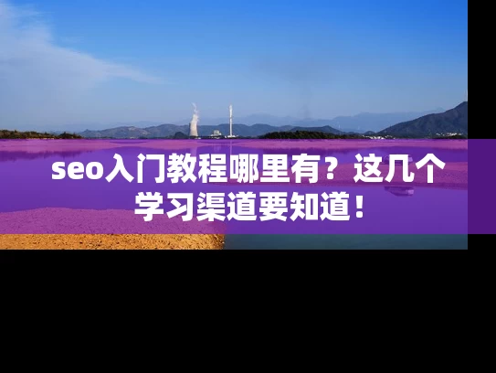 seo入门教程哪里有？这几个学习渠道要知道！