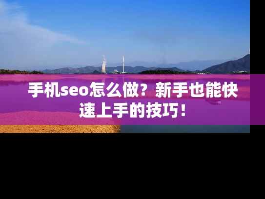 手机seo怎么做？新手也能快速上手的技巧！