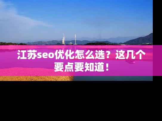 江苏seo优化怎么选？这几个要点要知道！