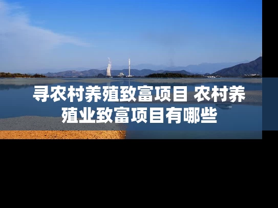 寻农村养殖致富项目 农村养殖业致富项目有哪些