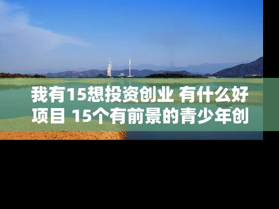 我有15想投资创业 有什么好项目 15个有前景的青少年创业好项目