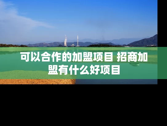 可以合作的加盟项目 招商加盟有什么好项目