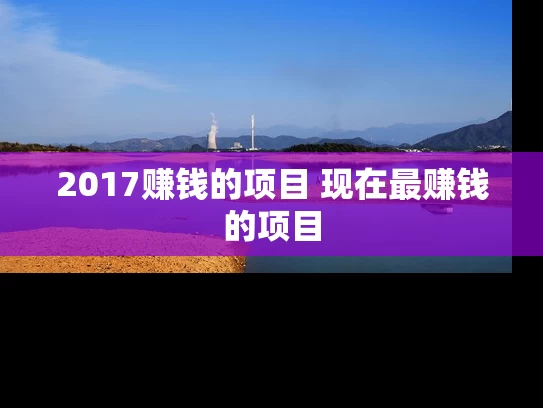 2017赚钱的项目 现在最赚钱的项目