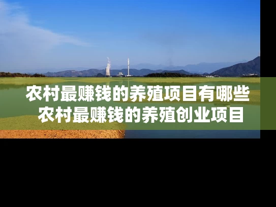 农村最赚钱的养殖项目有哪些 农村最赚钱的养殖创业项目有哪些