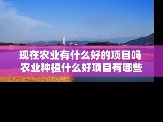 现在农业有什么好的项目吗 农业种植什么好项目有哪些
