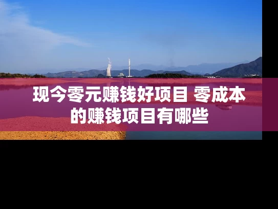 现今零元赚钱好项目 零成本的赚钱项目有哪些