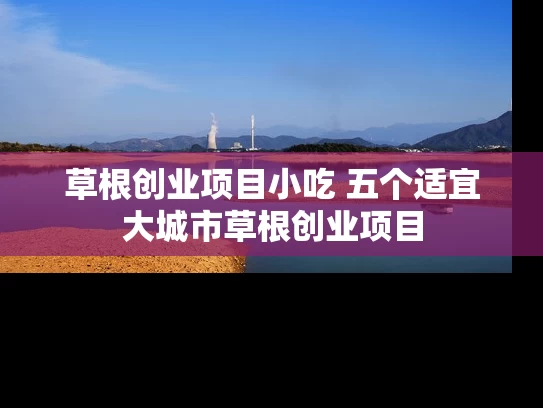 草根创业项目小吃 五个适宜大城市草根创业项目