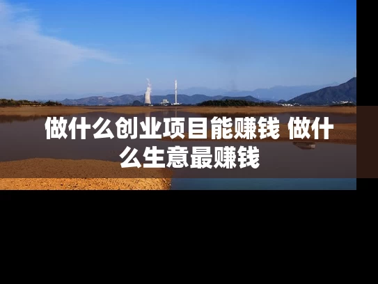 做什么创业项目能赚钱 做什么生意最赚钱
