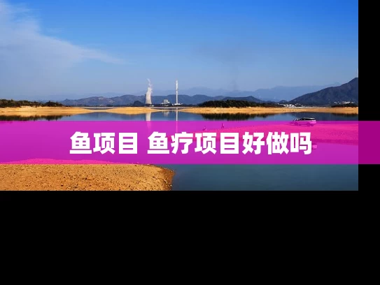鱼项目 鱼疗项目好做吗
