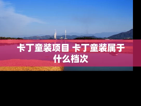 卡丁童装项目 卡丁童装属于什么档次