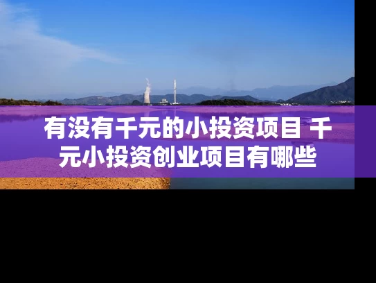 有没有千元的小投资项目 千元小投资创业项目有哪些