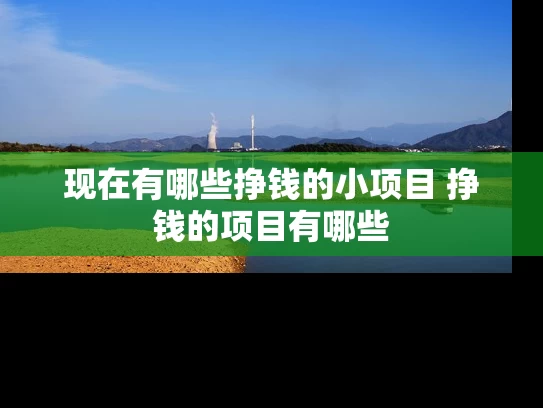 现在有哪些挣钱的小项目 挣钱的项目有哪些