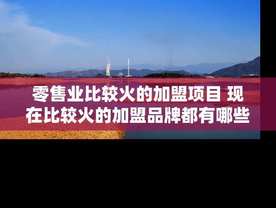 零售业比较火的加盟项目 现在比较火的加盟品牌都有哪些