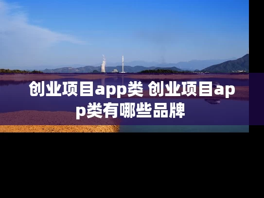 创业项目app类 创业项目app类有哪些品牌 