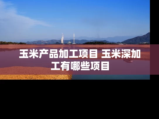 玉米产品加工项目 玉米深加工有哪些项目