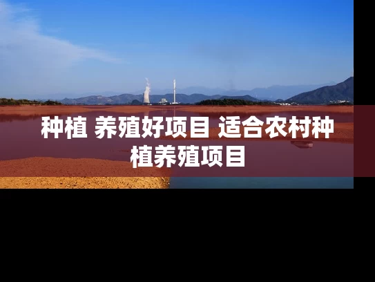 种植 养殖好项目 适合农村种植养殖项目