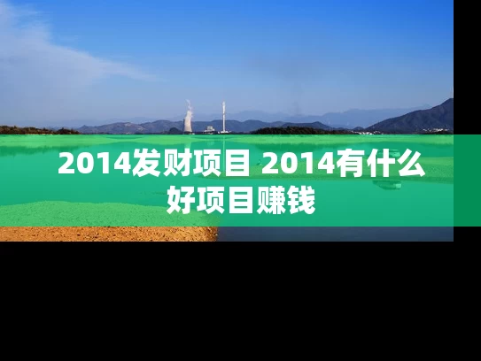 2014发财项目 2014有什么好项目赚钱