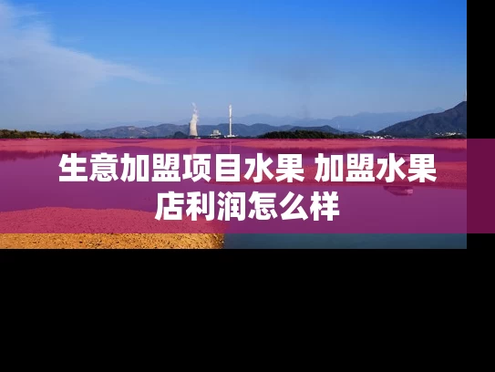 生意加盟项目水果 加盟水果店利润怎么样
