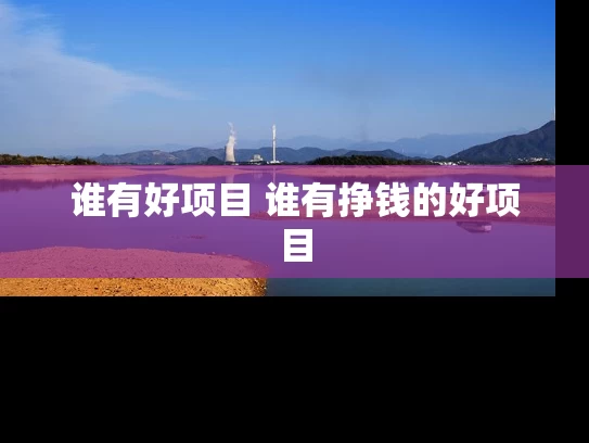 谁有好项目 谁有挣钱的好项目