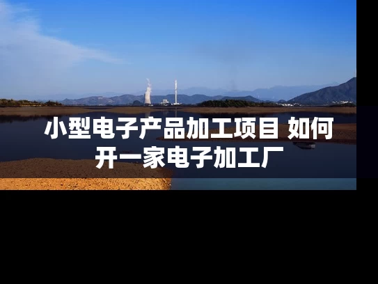 小型电子产品加工项目 如何开一家电子加工厂