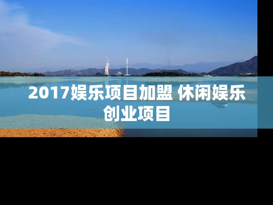 2017娱乐项目加盟 休闲娱乐创业项目