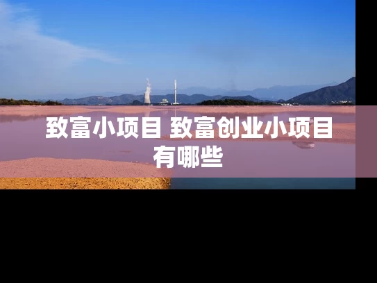致富小项目 致富创业小项目有哪些