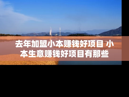 去年加盟小本赚钱好项目 小本生意赚钱好项目有那些