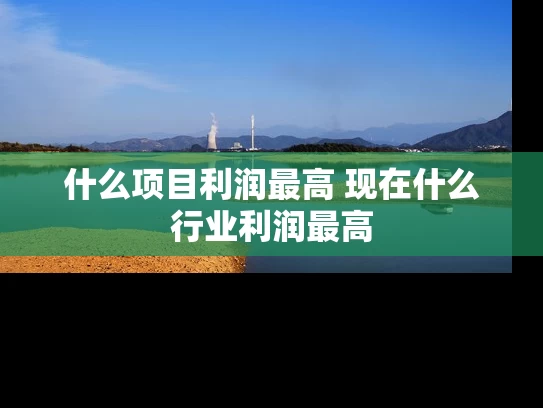 什么项目利润最高 现在什么行业利润最高