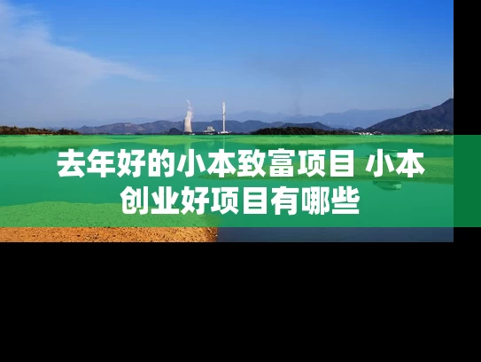 去年好的小本致富项目 小本创业好项目有哪些