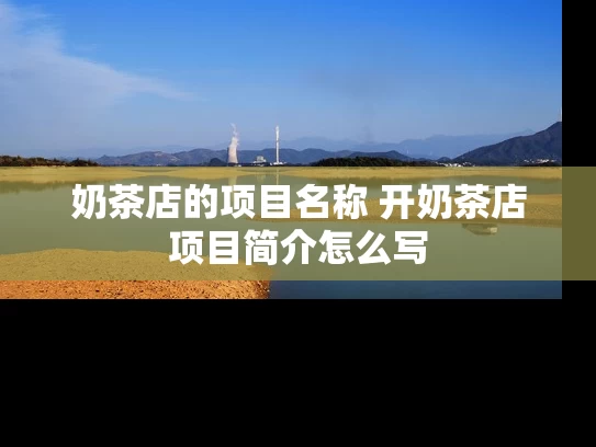 奶茶店的项目名称 开奶茶店项目简介怎么写