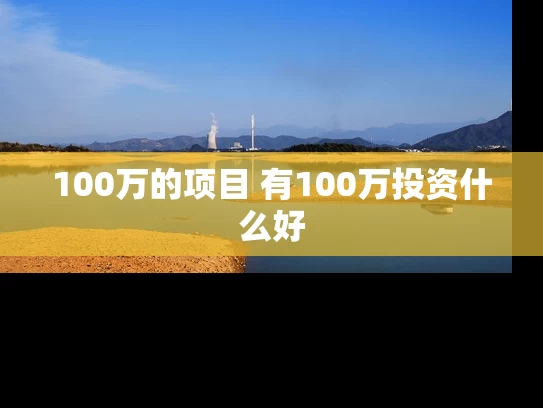 100万的项目 有100万投资什么好