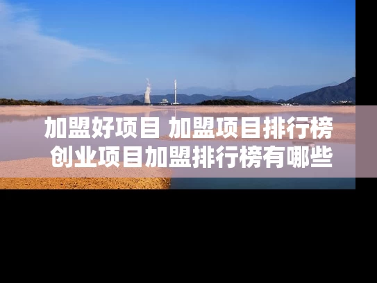 加盟好项目 加盟项目排行榜 创业项目加盟排行榜有哪些