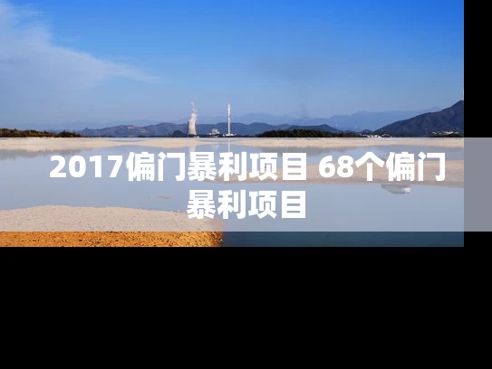 2017偏门暴利项目 68个偏门暴利项目
